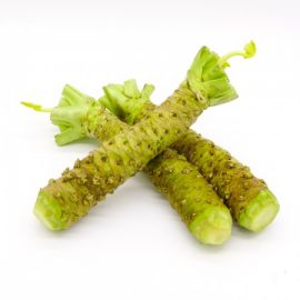 תמונת הפרופיל של wasabi